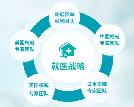 2026年海外就醫中介機構遴選指南 靠譜機構的三大核心職責深度解析
